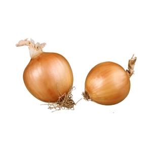 onion