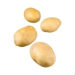 Potato