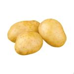 Potato