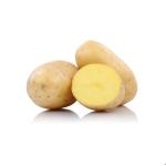 Potato