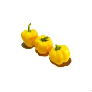 capcicum